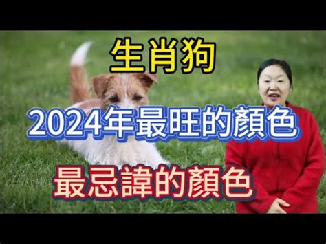 2023 狗 顏色|【屬狗2023生肖運勢】事業運吉凶參半，桃花運節節。